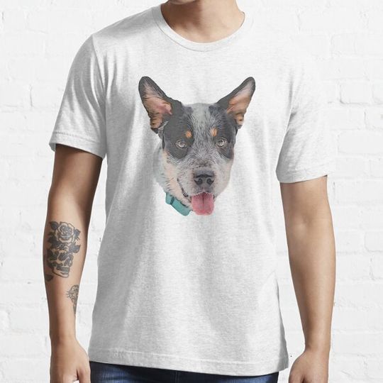 Discover Australian cattle dog cartoon design