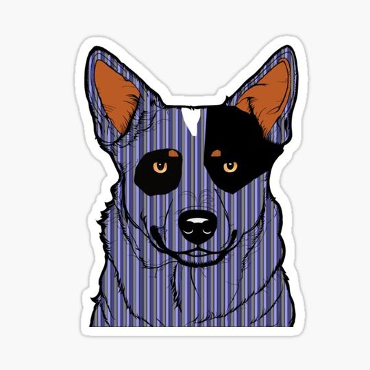 Discover Blue Heeler XII