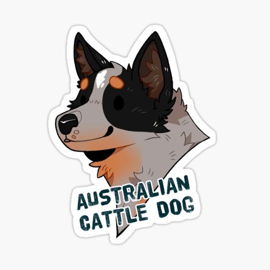 Discover Australian Cattle Dog Blue Heeler Cute Dog Cartoon