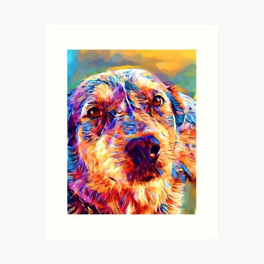 Discover Blue Heeler 3
