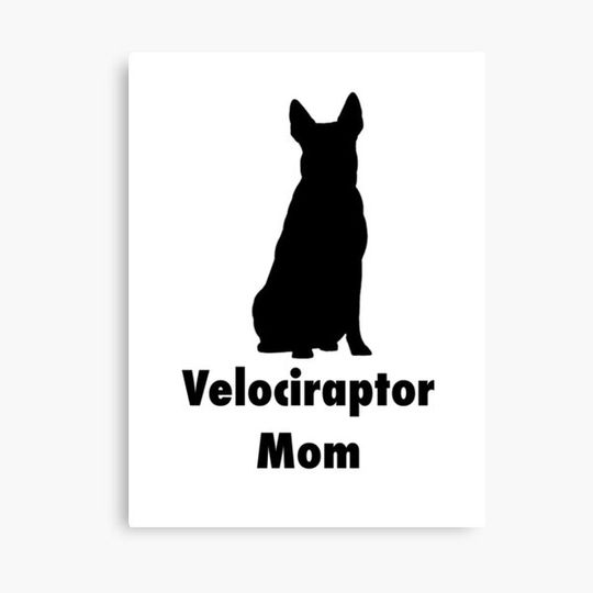 Discover Heeler Mom
