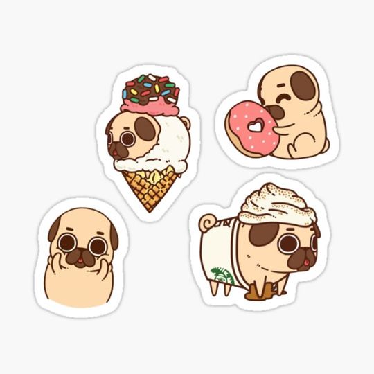 Discover Cute Pug Set