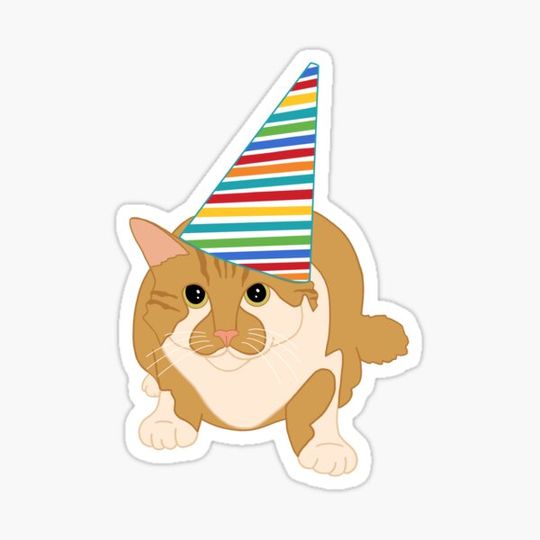 Discover O’Malley The Birthday Cat