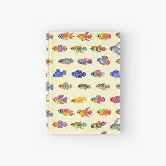 Discover Killifish - yellow