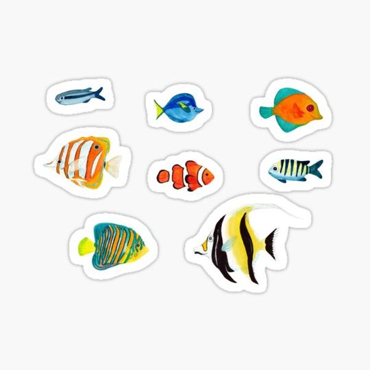 Discover Fish stickers