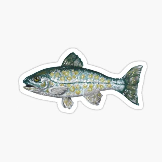 Discover Fish (gouache)
