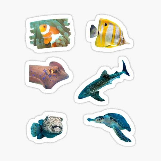 Discover Tropical Fish Pack