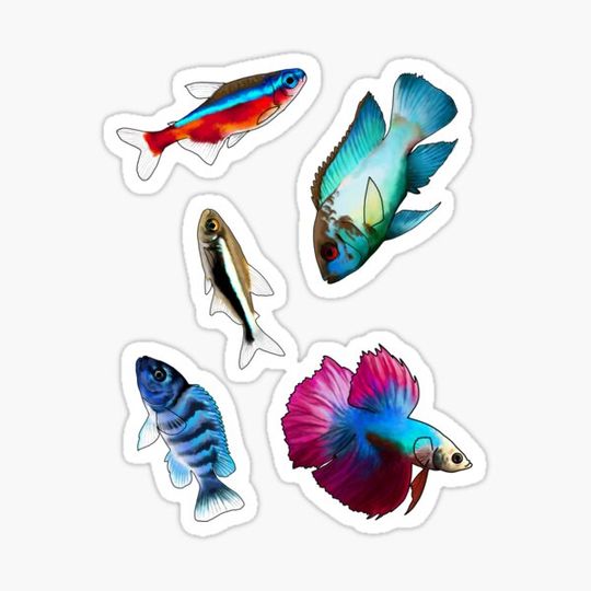 Discover Aquarium Fish Set Blue - Blue Acara, Cardinal Tetra, Kennyi Cichlid, Black Neon Tetra, Betta Splenders
