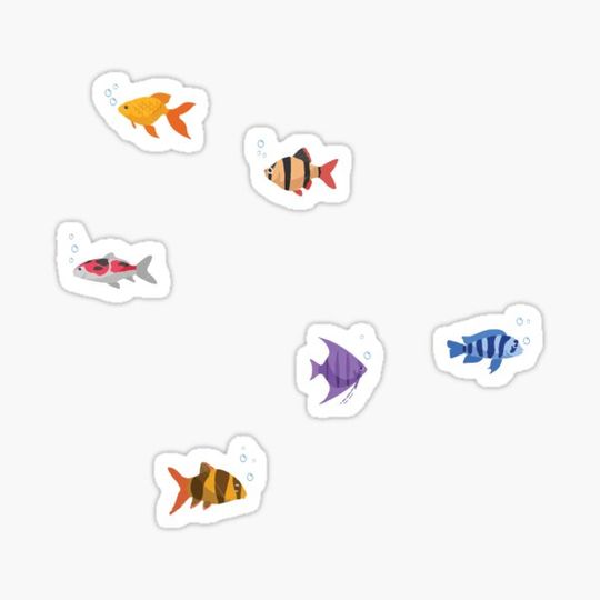 Discover Fish Tank
