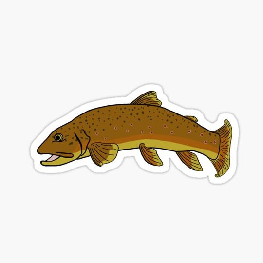 Discover Brown Trout