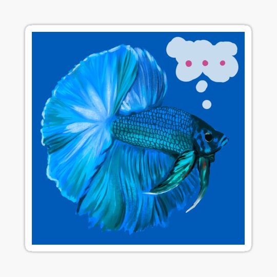 Skeptical Betta