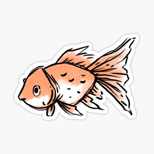Discover Goldfish