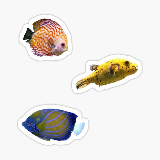 Discover Underwater creatures Pack 2