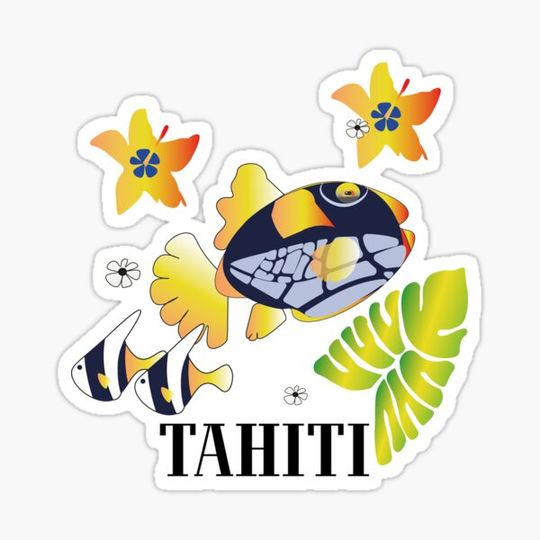 Discover Triggerfish and fish Tahiti