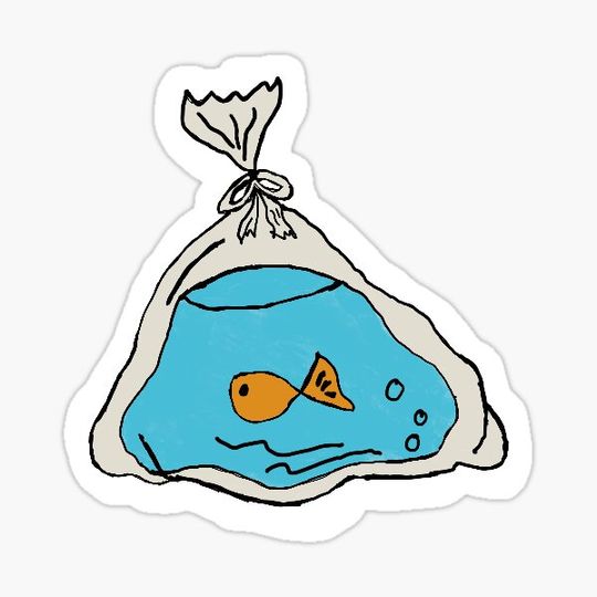 Discover Fish in a Bag