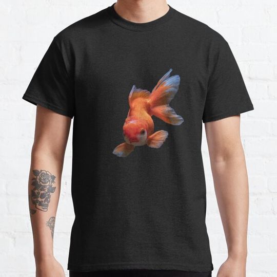 Discover Japanese koi fish