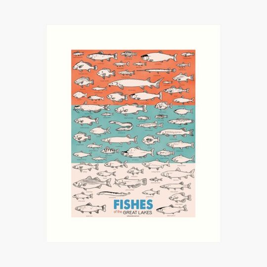 Discover Fishes of the Great Lakes