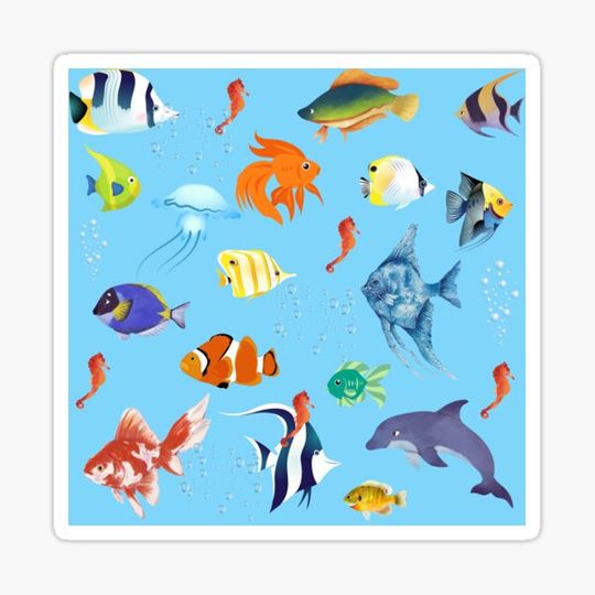 Discover Fish
