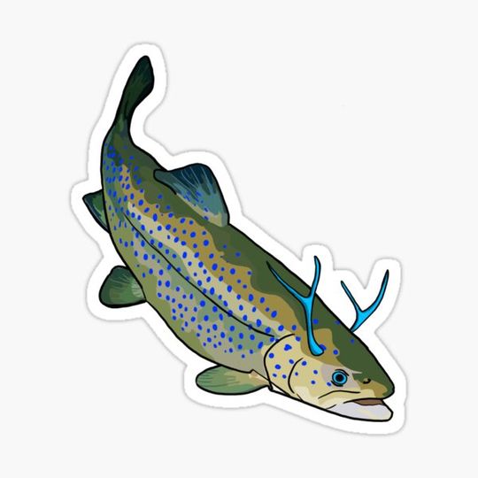 Discover Antler Trout