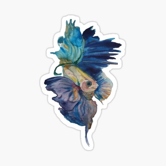 Discover Fighter Fish