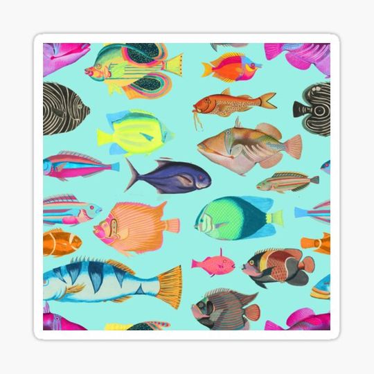 Discover Vintage Fish
