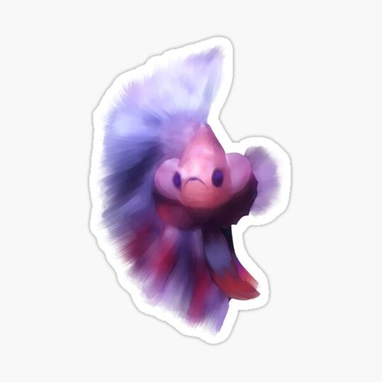 Discover Angry Betta Fish!!