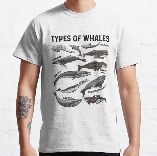 Discover Types Of Whales - Ocean Funny Best Gift Ideas Whale Lover