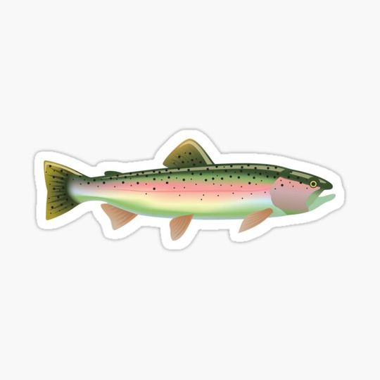 Discover Rainbow Trout