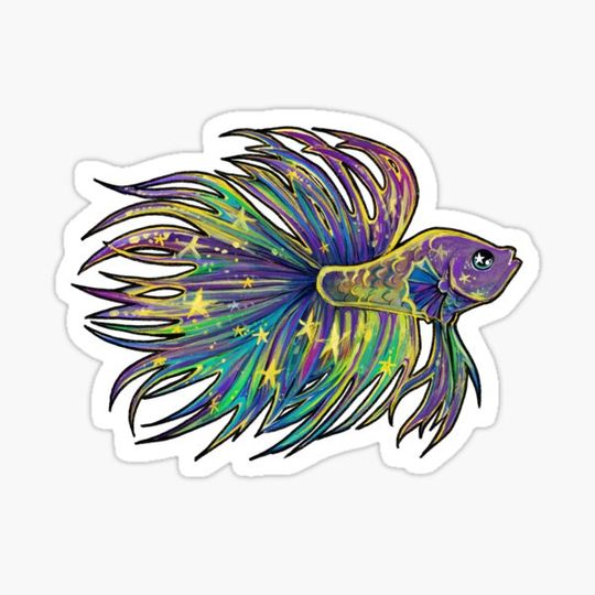 Discover Galaxy betta fish