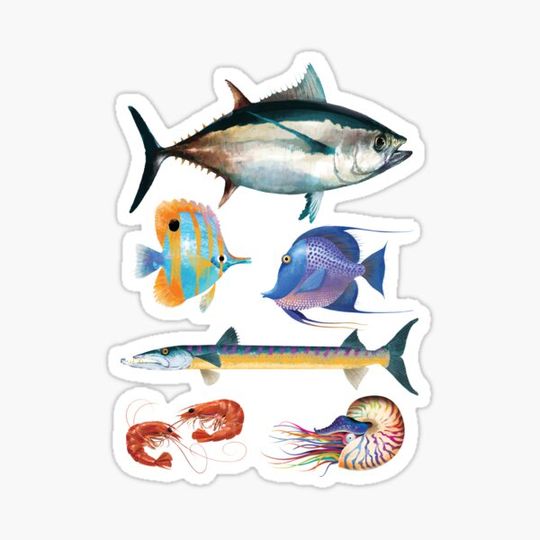 Discover Fish Poster
