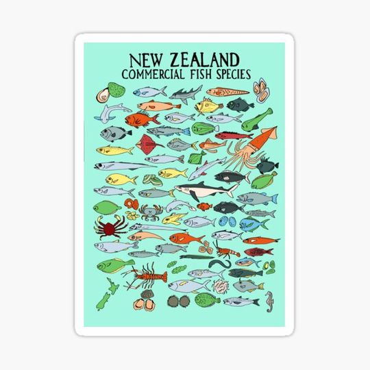 Discover New Zealand Fish Poster