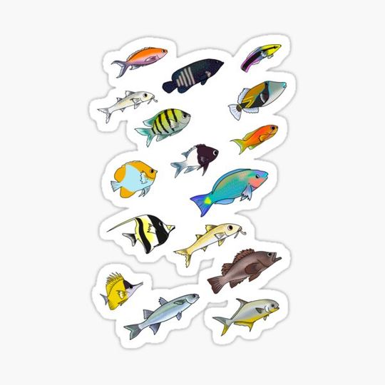 Discover Swimming Fish Print