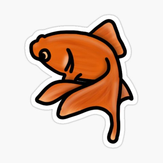 Discover Goldfish