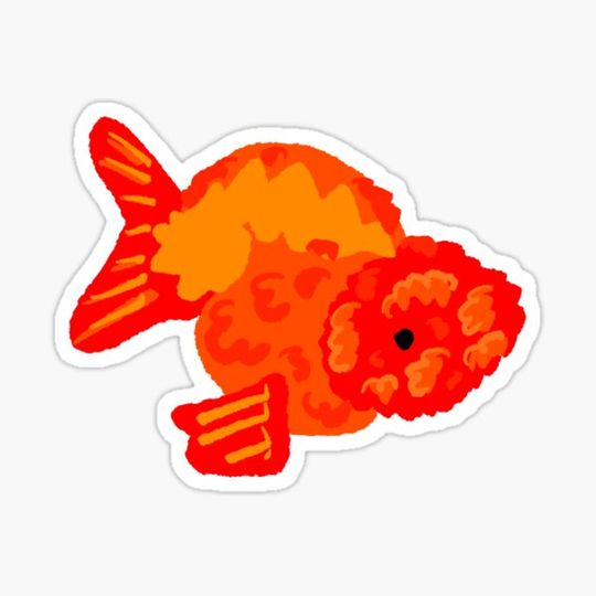 Discover Ranchu Goldfish - Bumpy Fish