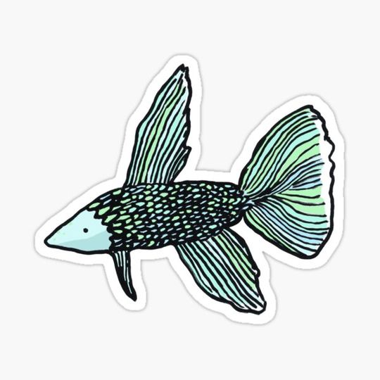 Discover Betafish