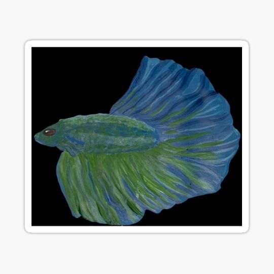 Discover Green and Blue Fish