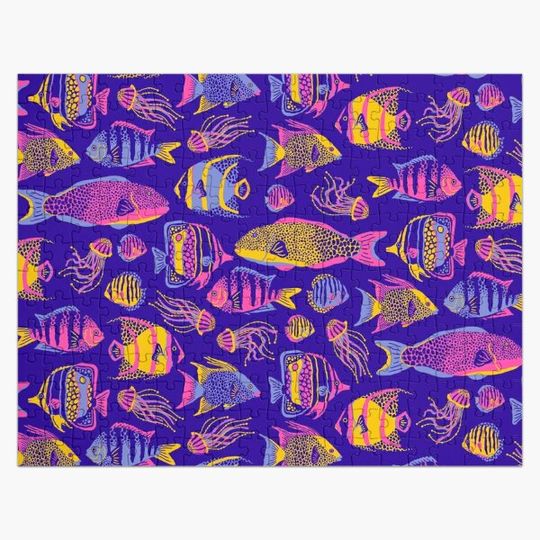 Discover Colorful Funky Fishes