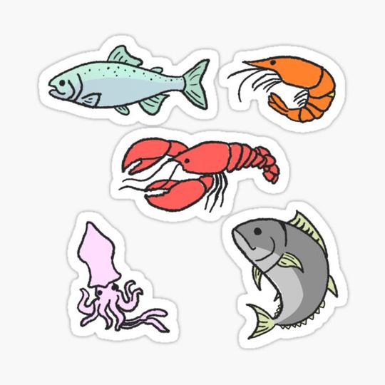 Discover Seafood Pattern