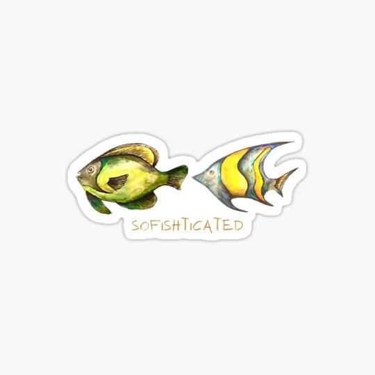 Discover Sofishticated