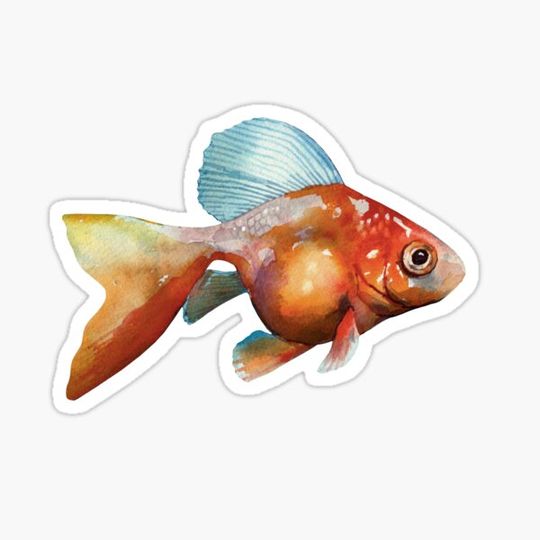 Goldfish Swim Together