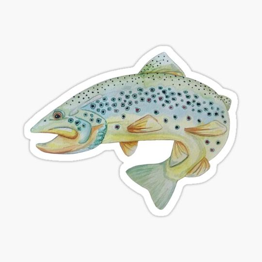 Discover Watercolor Trout