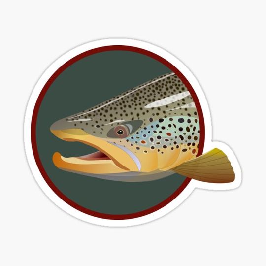 Discover Brown Trout Head