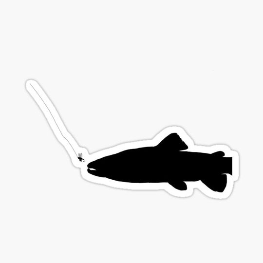 Discover trout eating fly