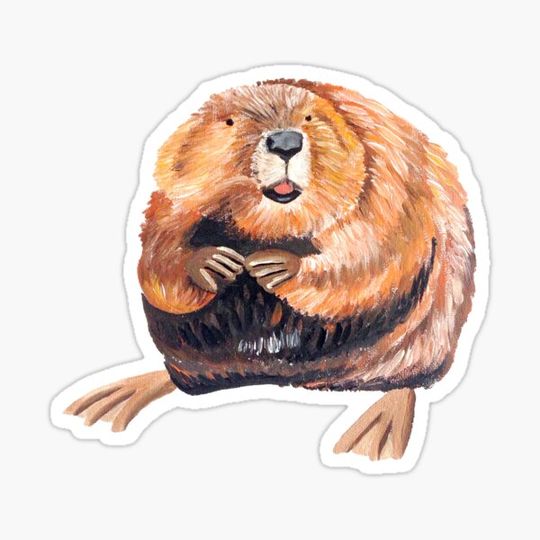 Discover Beaver