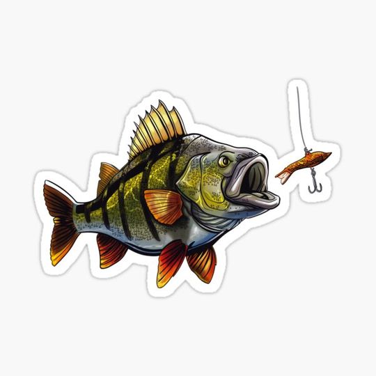 Discover Fishing Perch