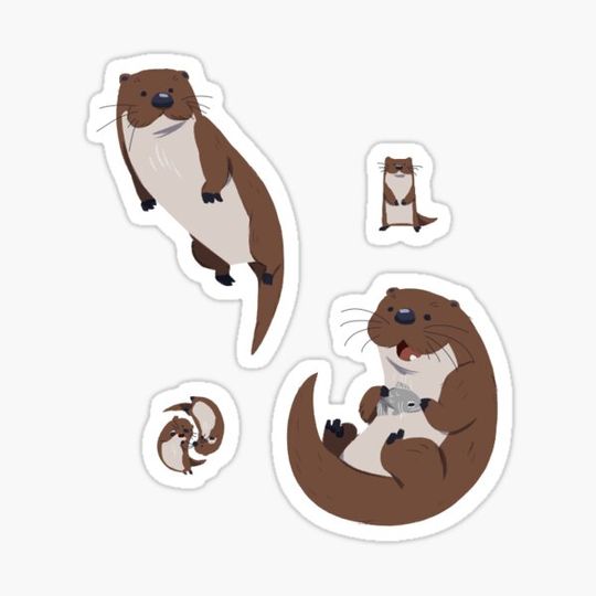 Discover Otters