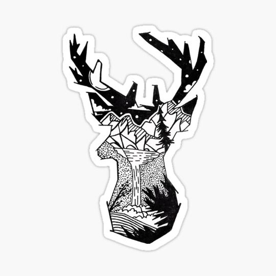 Discover Wilderness Deer