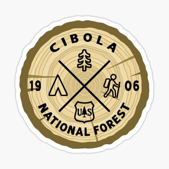 Discover Cibola National Forest Log Slice