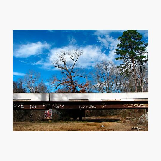 Discover Redneck Graffiti