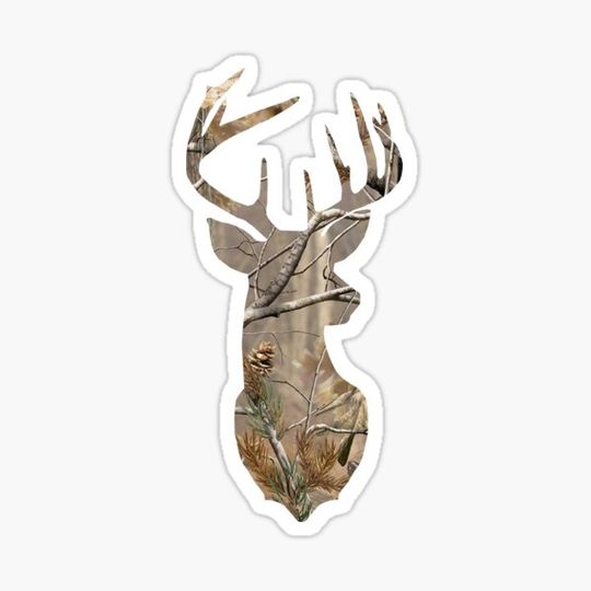 Discover Camo Deer
